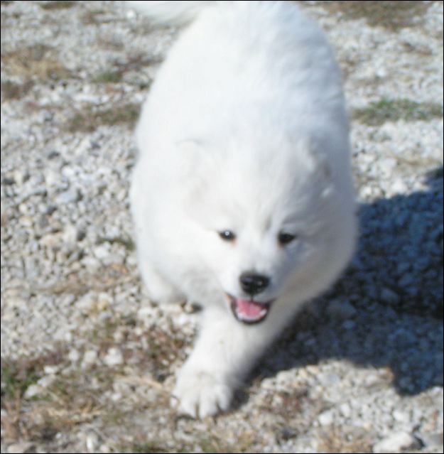 boy8.jpg
