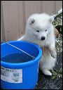 girl-waterplay.JPG 