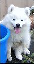girl-wet paws.JPG 