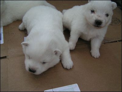 pict0010.jpg