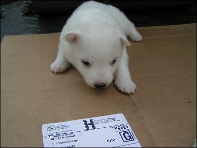 pict0013.jpg