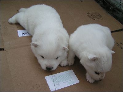 pict0014.jpg