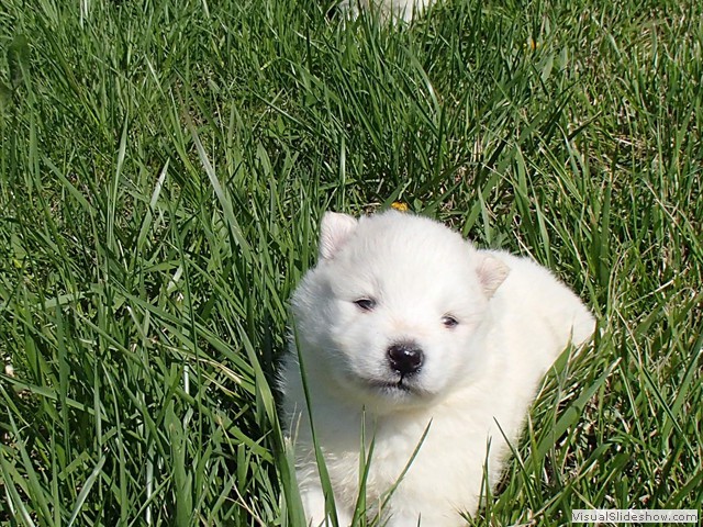 3wks-boys-3