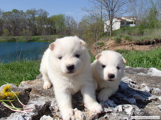 3wks-girls-4