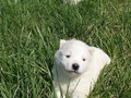 3wks-boys-3