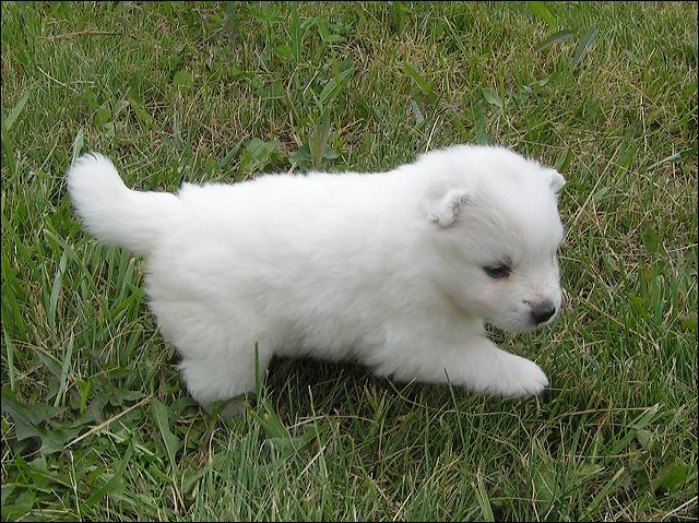 pict0027.jpg