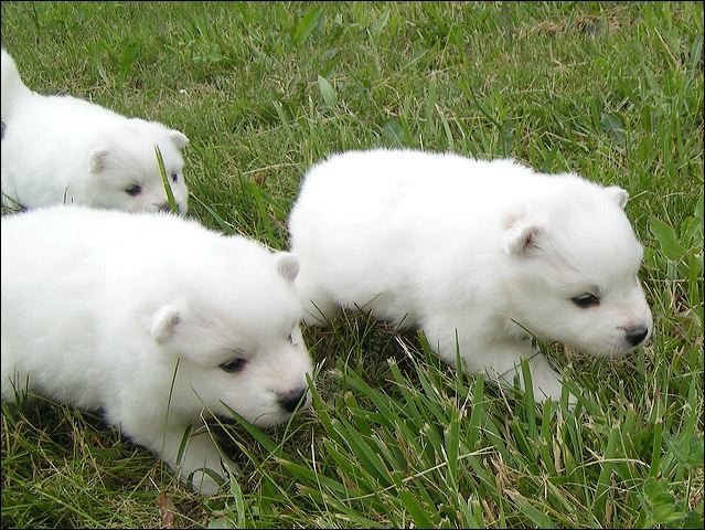 pict0028.jpg
