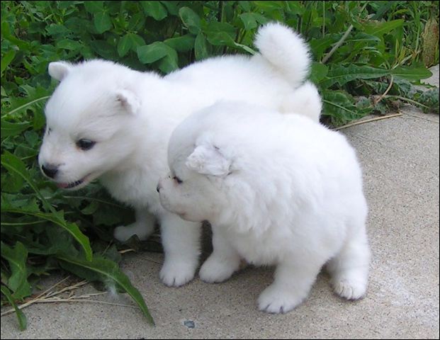 pict0034.jpg