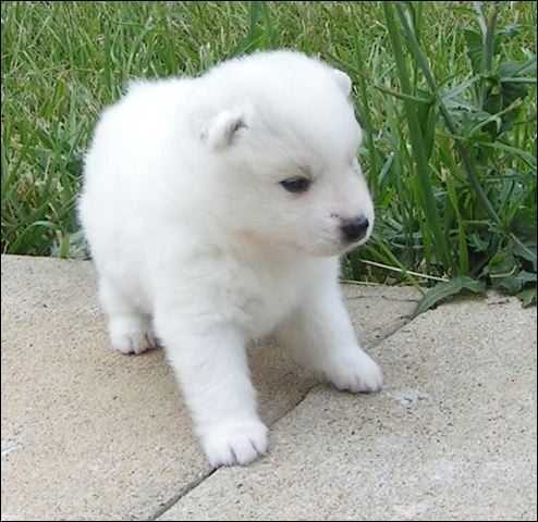 pict0039.jpg