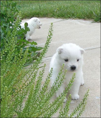 pict0041.jpg