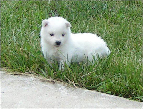 pict0043.jpg
