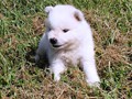 boys-4