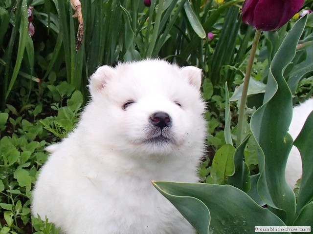 4wks-girl-1