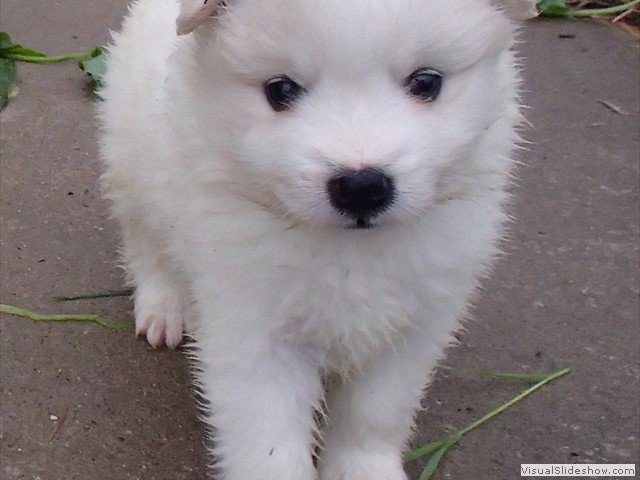 4wks-girl-4