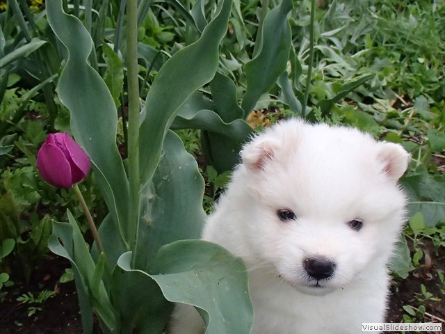 4wks-girl-5