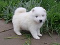 4wks-boys-6