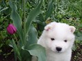 4wks-girl-5