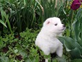 4wks-girls-6