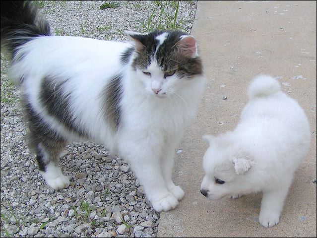 pict0002.jpg