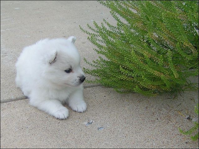 pict0014.jpg