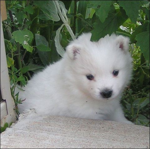 pict0025.jpg