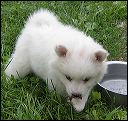 pict0009