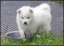 pict0015