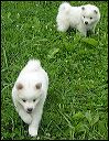 pict0019