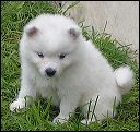 pict0021