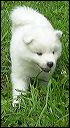 pict0024