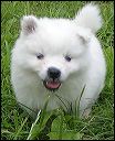 pict0025