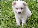 pict0028