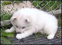 pict0033