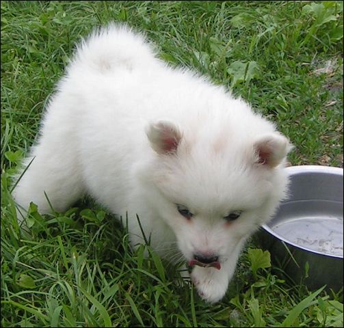 pict0009.jpg