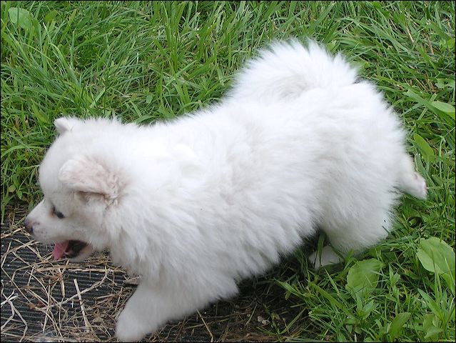 pict0016.jpg