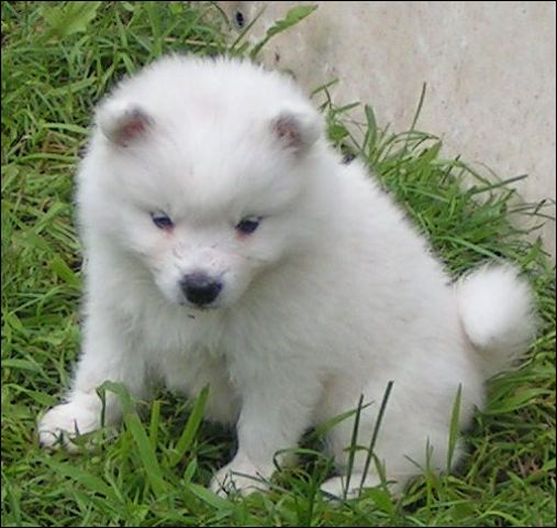 pict0021.jpg