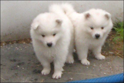 pict0032.jpg