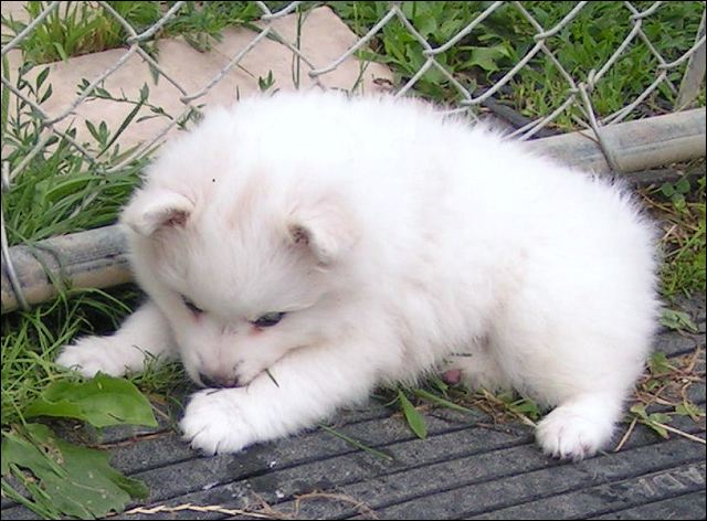 pict0033.jpg