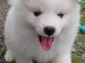 6wks-girl9