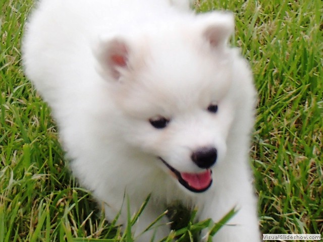 7wks-girl4
