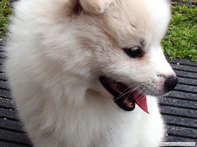 7wks-girl6
