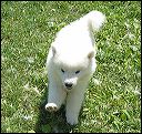 pict0001