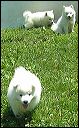 pict0003
