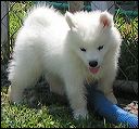 pict0006