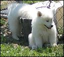 pict0010