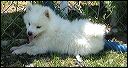 pict0015