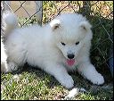 pict0017