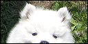 pict0019