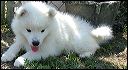 pict0022