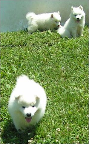 pict0003.jpg